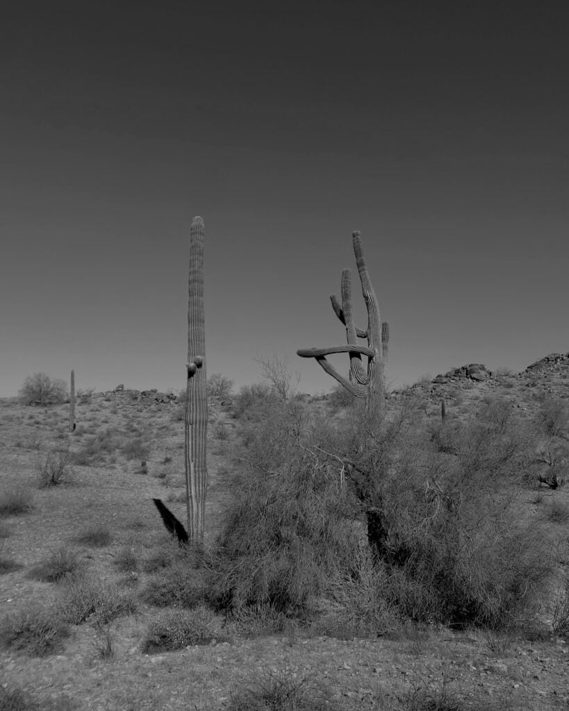 Alicia Hogan, 12th Grade, "Arizona"