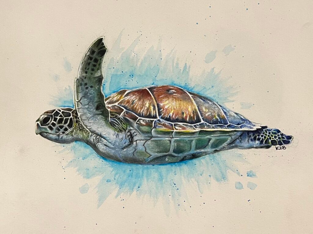 Kezia Bransford, 12th Grade, "A Splash of color"