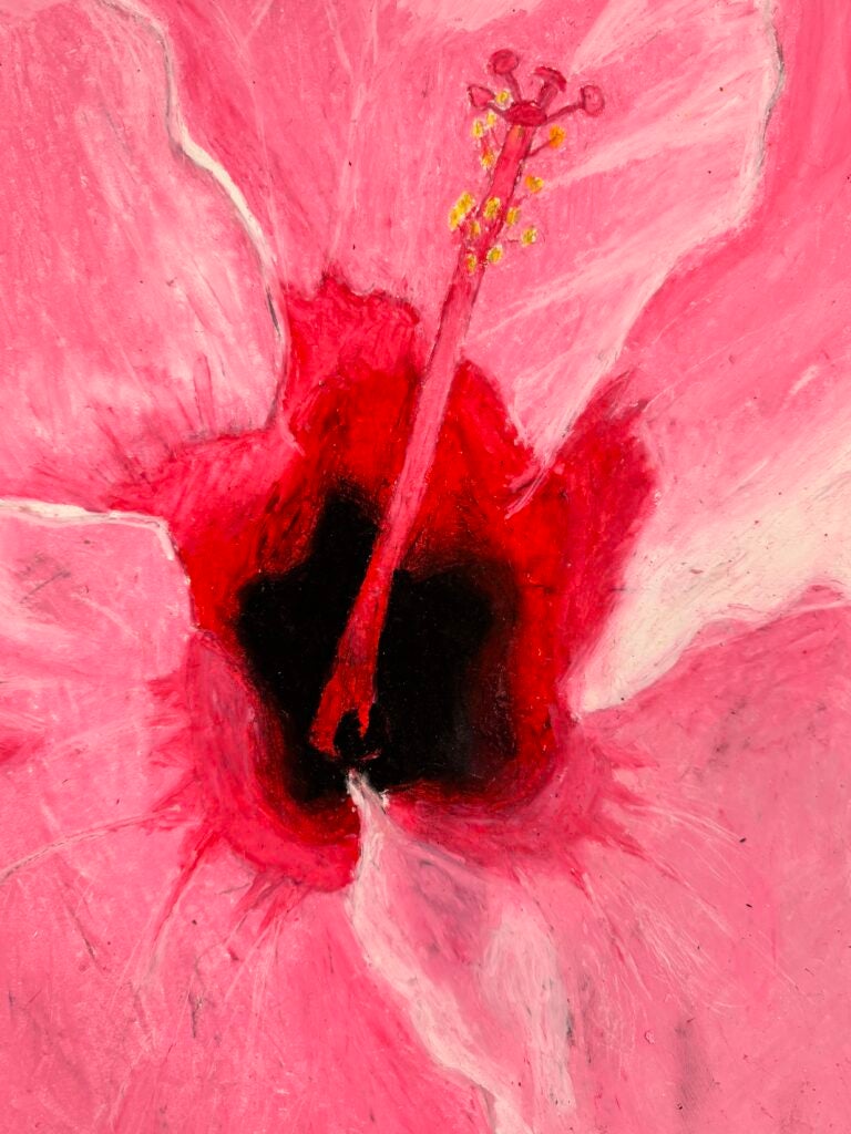 William Wei-Lin Pietraniec, 8th Grade, "Bee's Eye View", Drawing