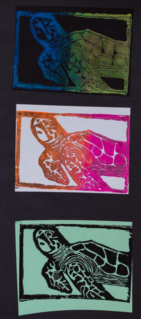 Selihom Petros, 8th Grade, "Sea Turtle", Printmaking
