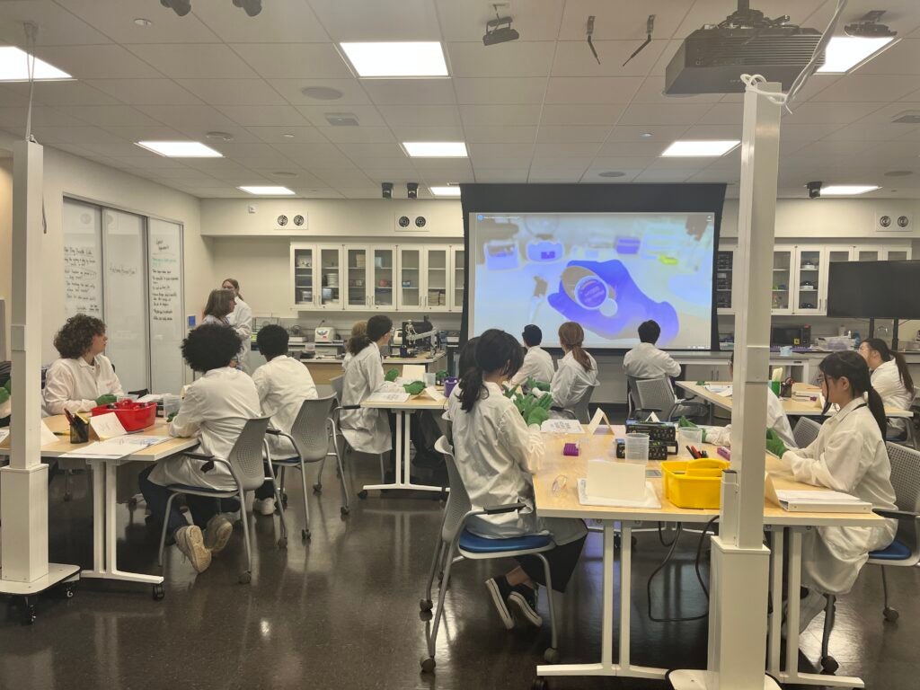 students watching a presentation