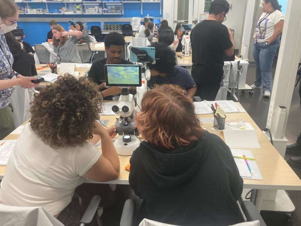 students working around a desk using a microscope