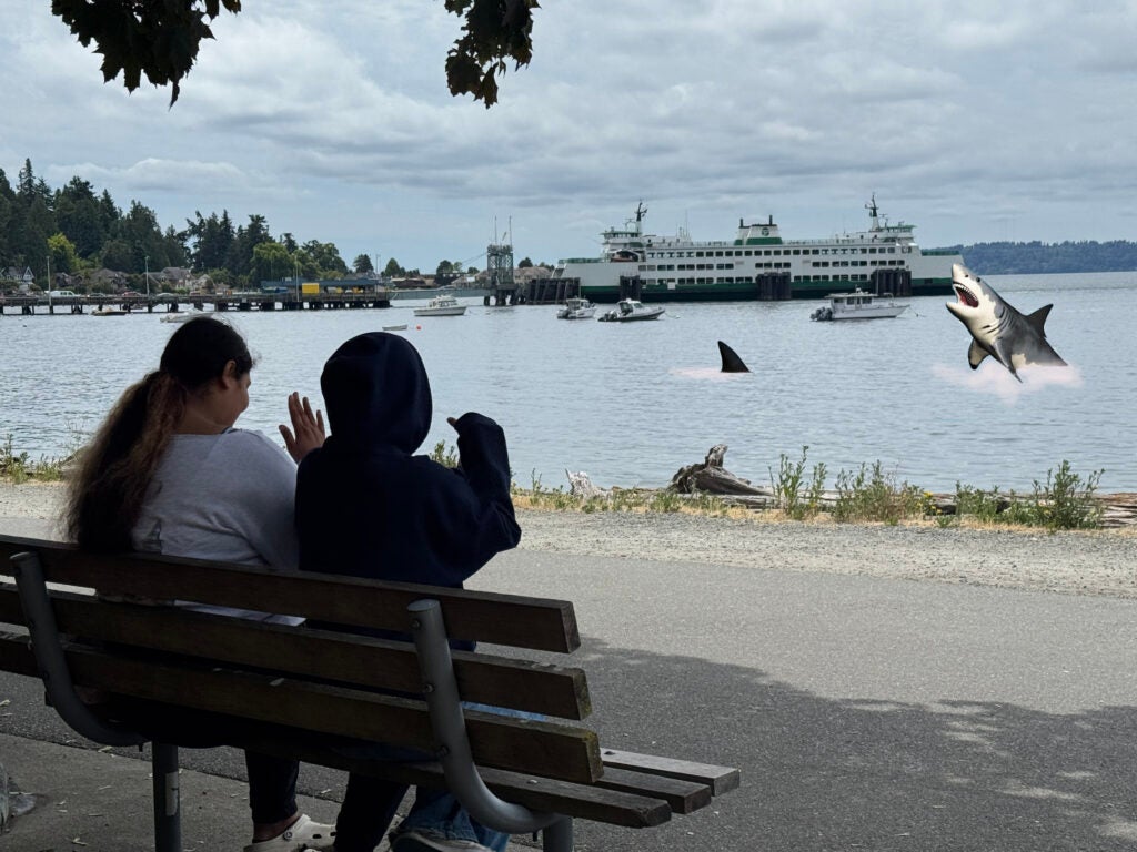 photoshopped image of students looking out at ferry with sharks jumping in the water