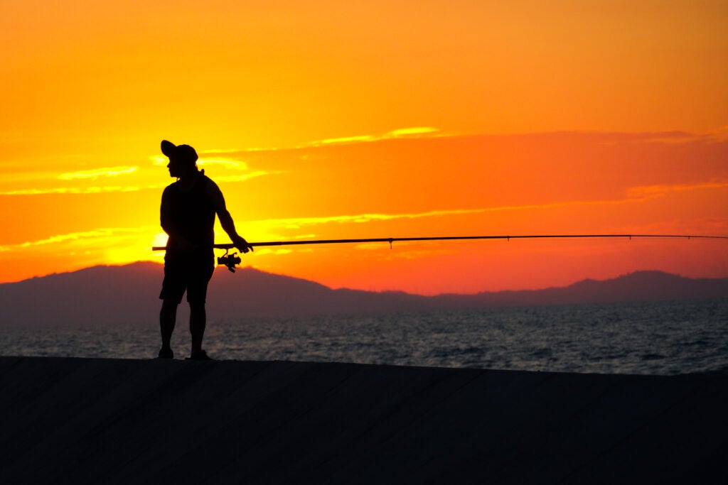 Cris Ian Calamiong, 10th Grade, "Fish in it's Water"