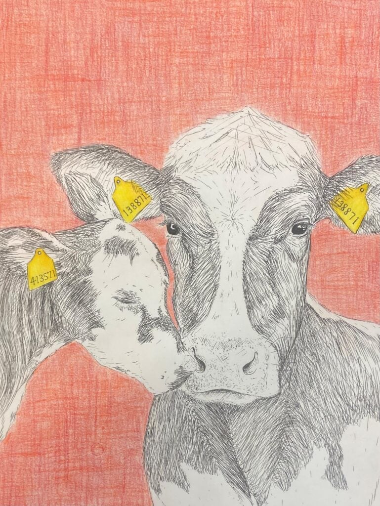 Glory Lai, 11th Grade, "Price of Dairy"