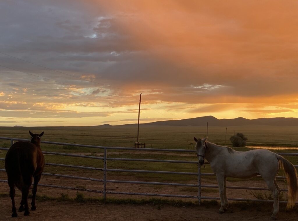 Lily Clara Wiederhold, 10th Grade, "Sunset at Fort Union"