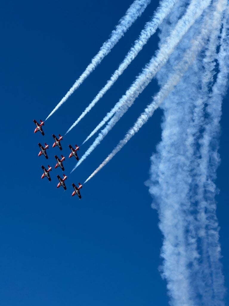 Lauren Fescoe, 11th Grade, "Snowbird Synchronization"