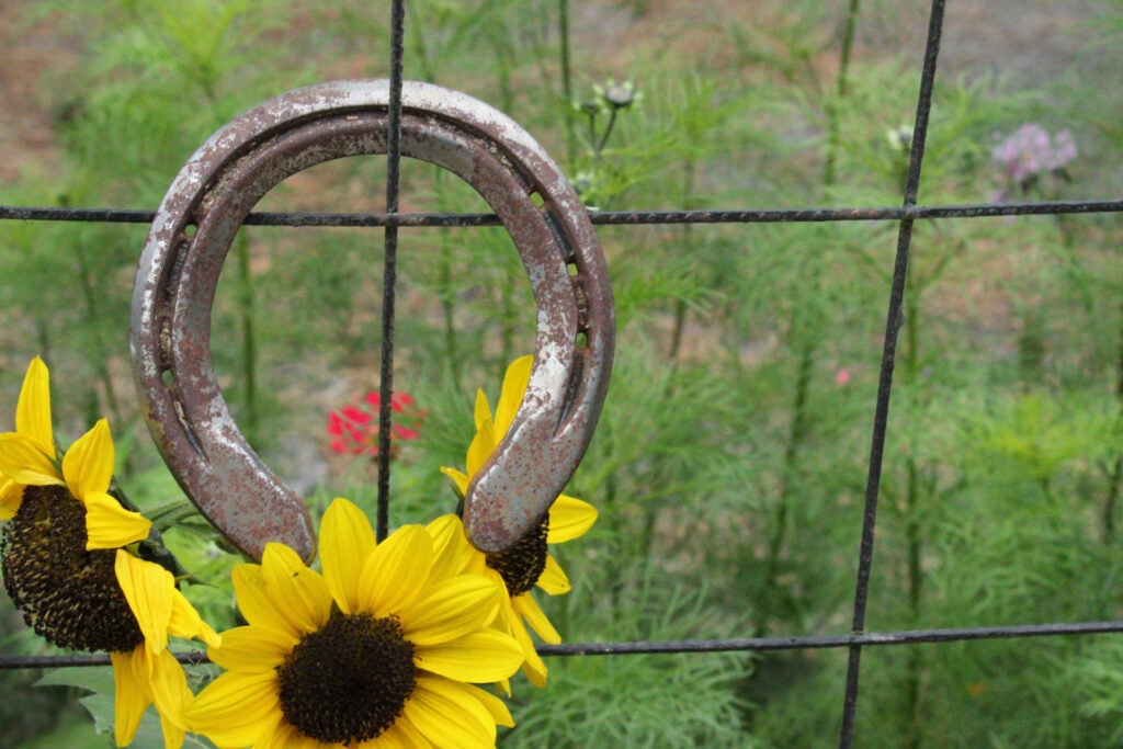 Amelia Spencer, 12th Grade, "Untitled"