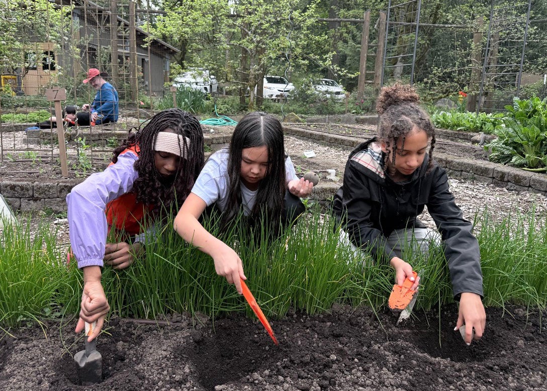 Lowell Students Digging