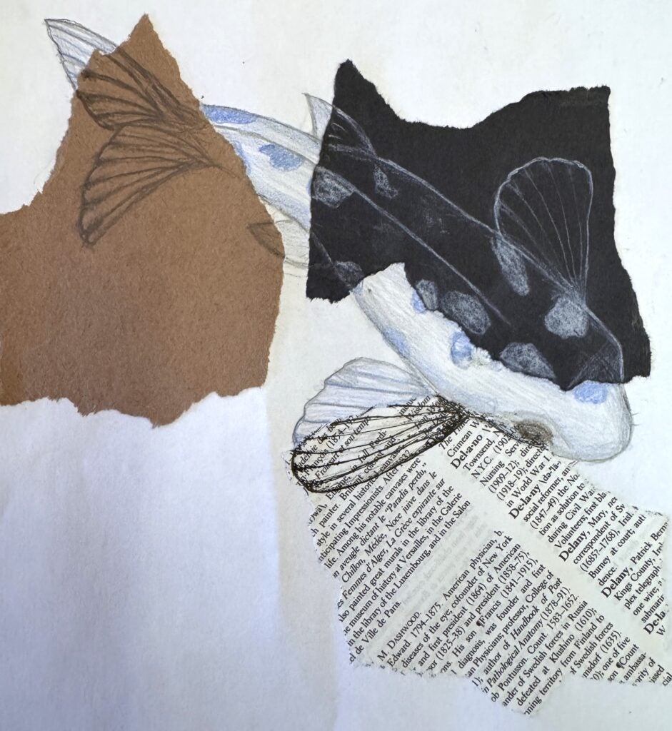 Audrey Sullivan , 8th Grade, "Untitled", Mixed Media