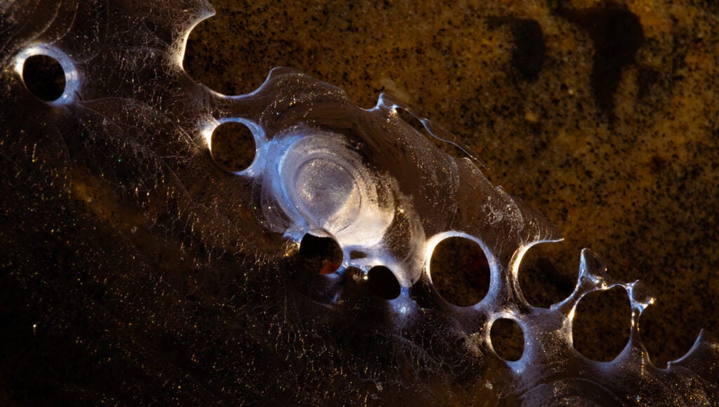 Teddy Groebner, 12th Grade, "Nebulous Stone"