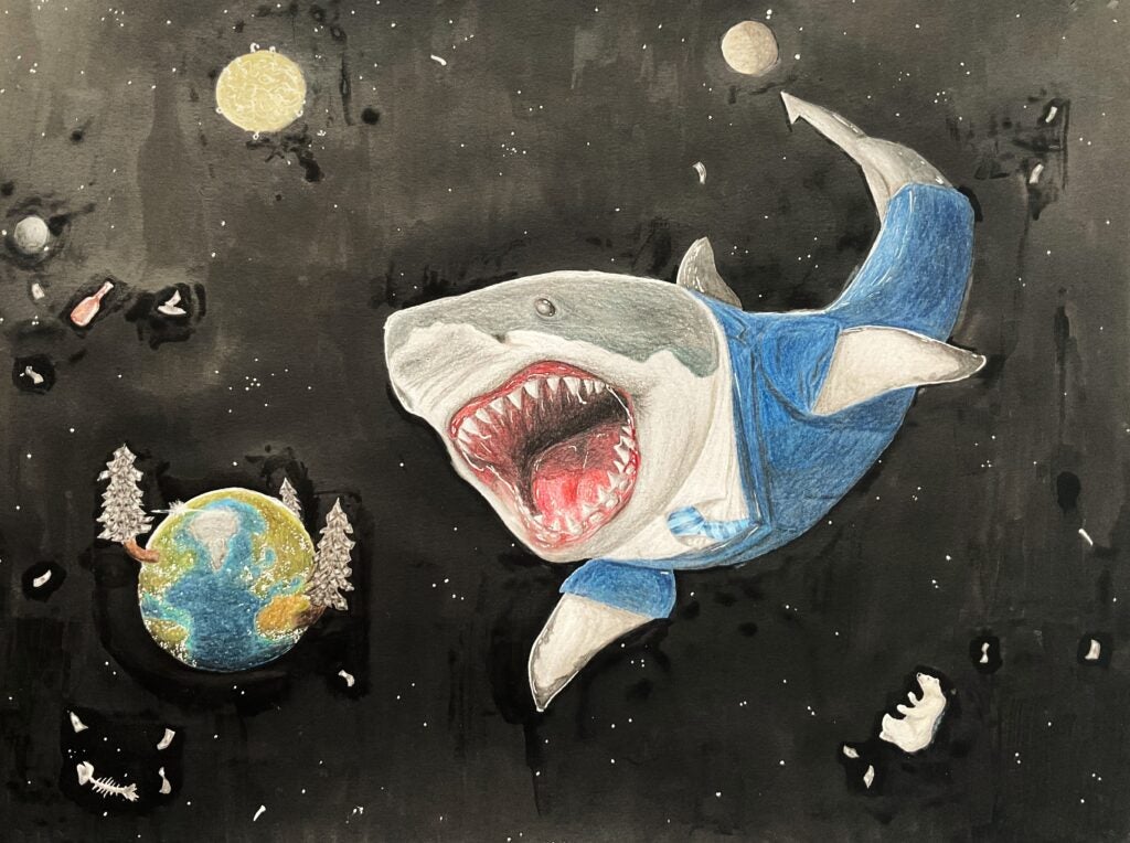 Zoe Westergaard-Johnson, 10th Grade, "Apex" 