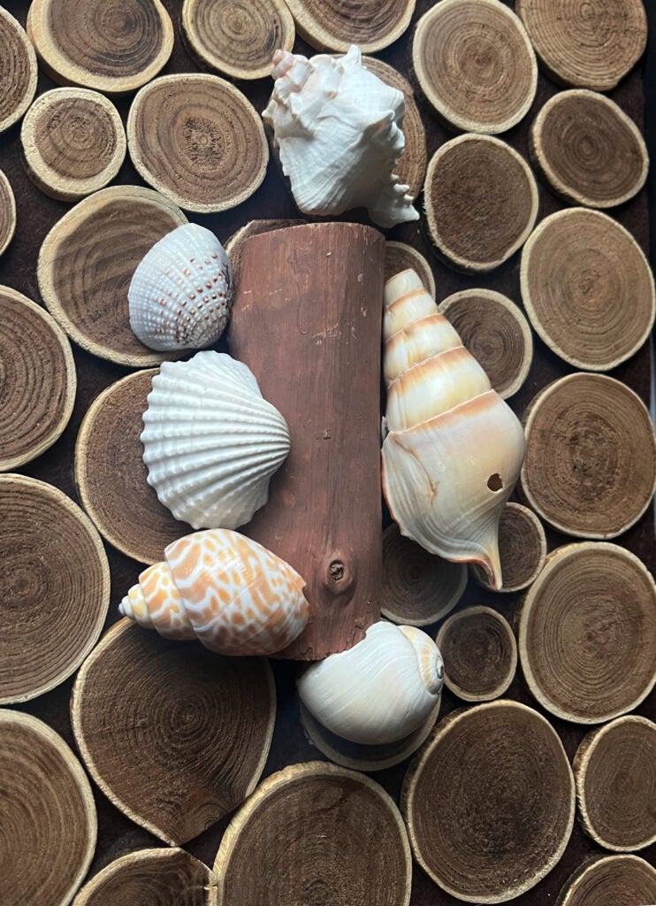 Keith Cottom, 12th Grade, "a day on the beach"