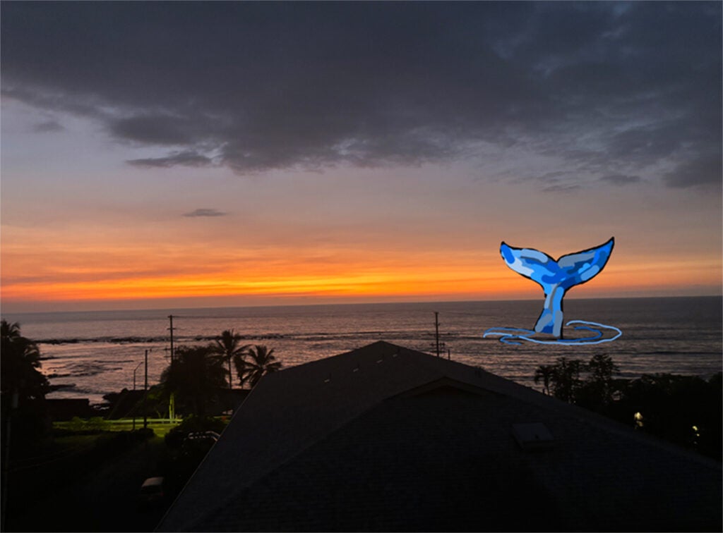Carlos Patino, 10th Grade, "Sunset View"