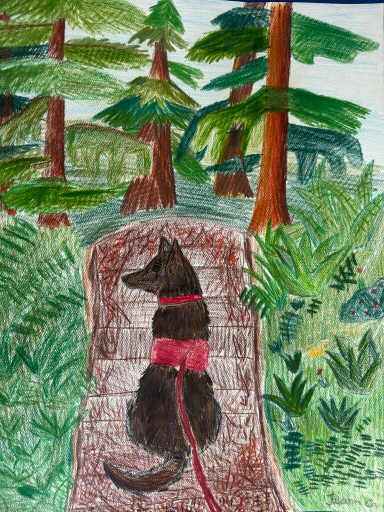 Juliana Guzman, 7th Grade, "Shadow Forest", Drawing