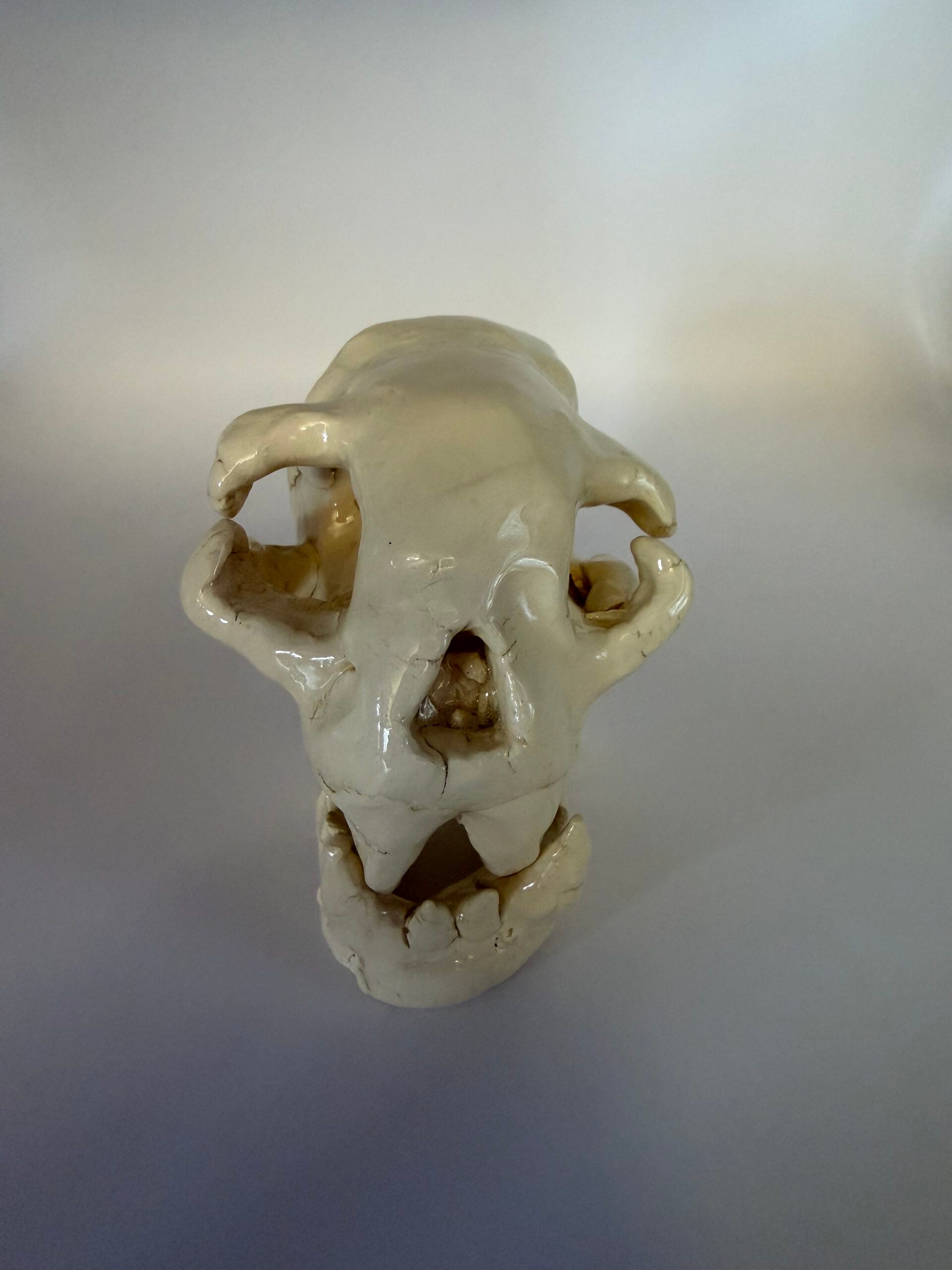 Sean Corddry, 7th Grade, "Untitled", Ceramic