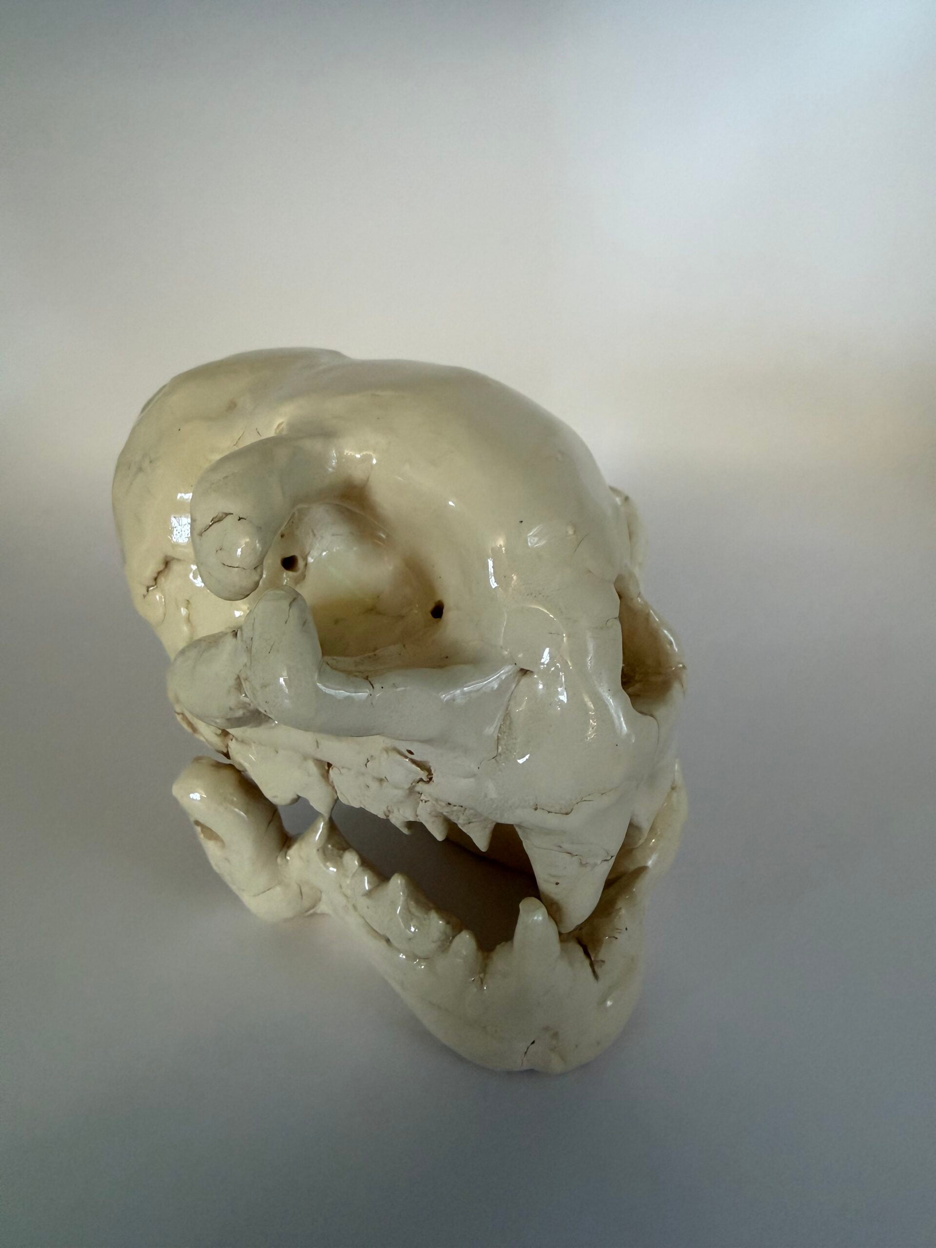 Sean Corddry, 7th Grade, "Untitled", Ceramic