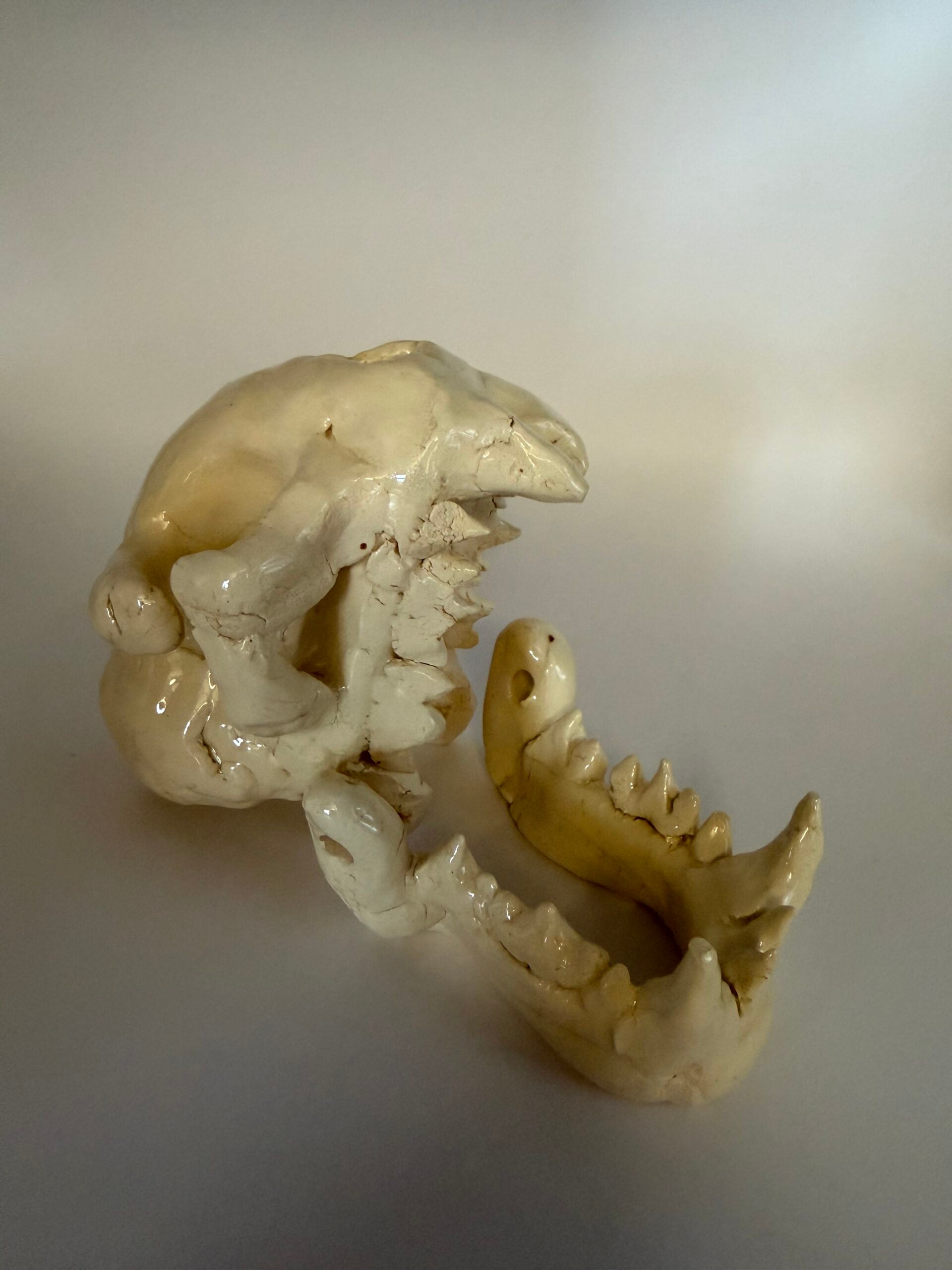 Sean Corddry, 7th Grade, "Untitled", Ceramic