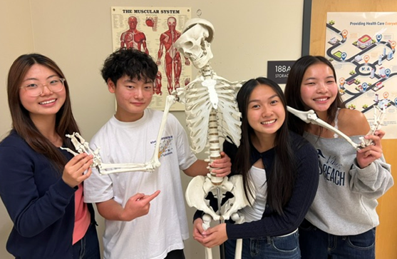 four students pose with skeleton and muscle map at UW