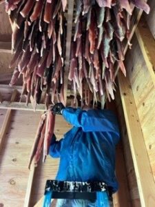 Drying salmon