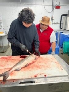 Processing fish