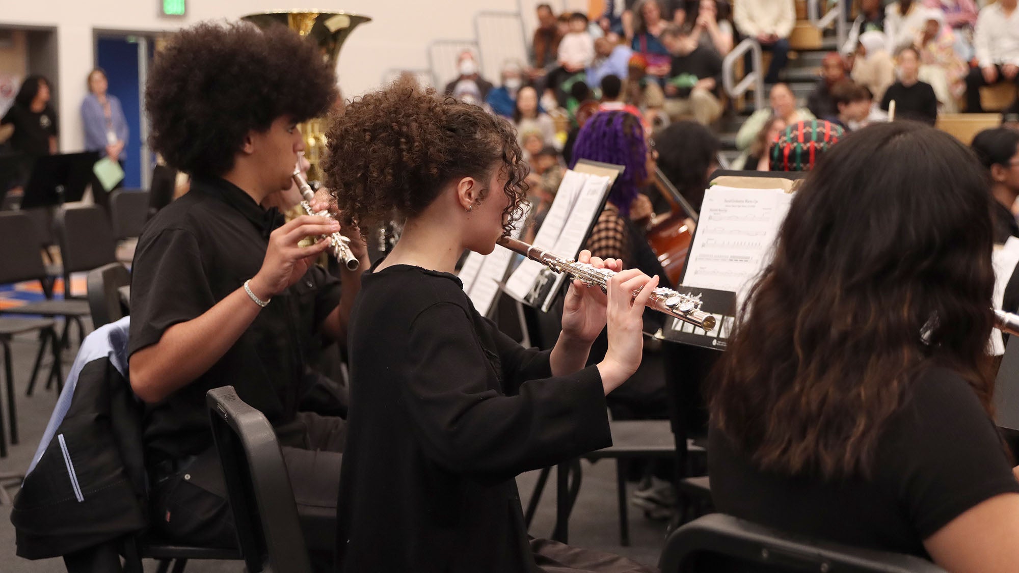Regional Roundup Pathway Concert Flutes