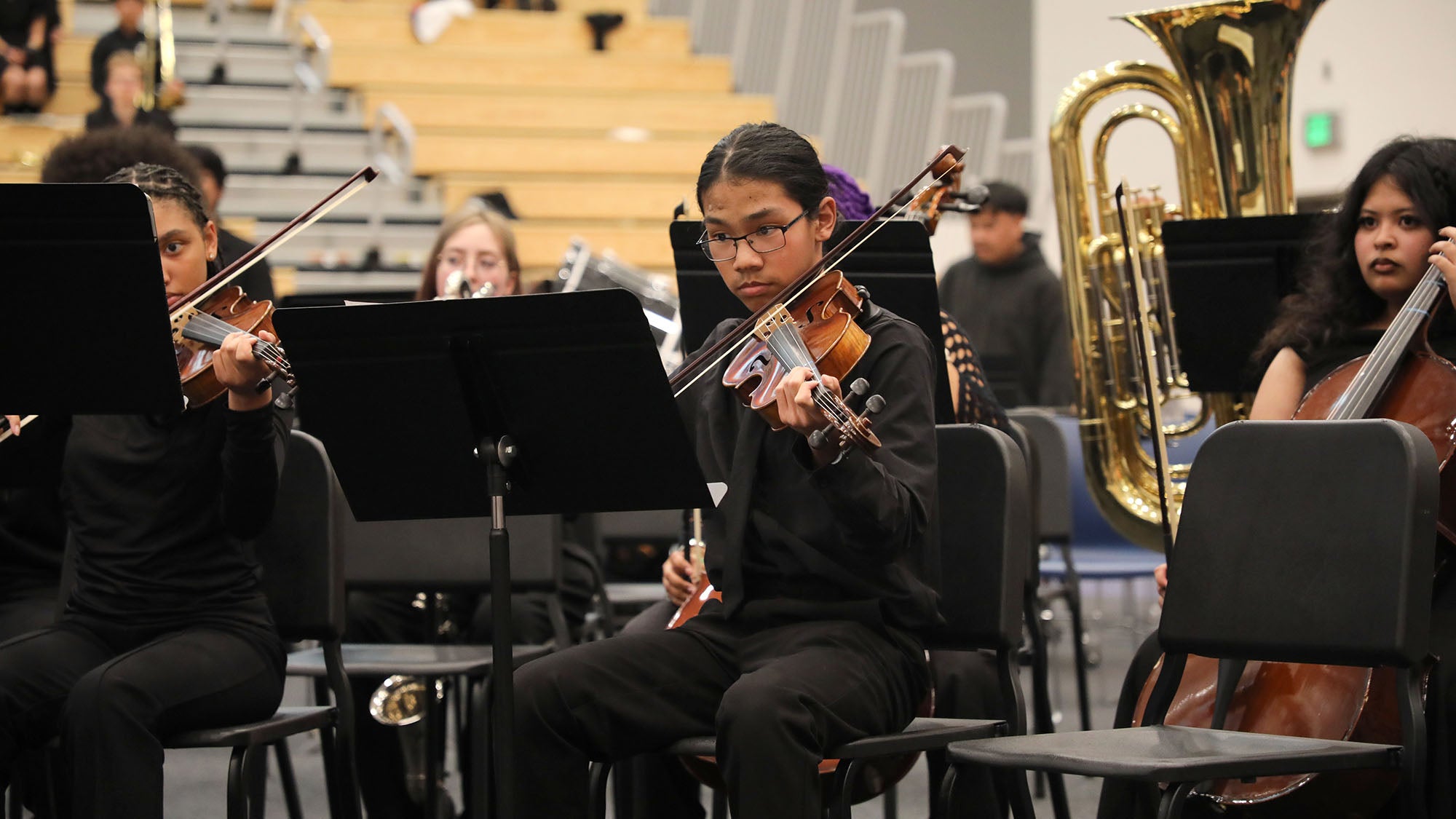 Regional Roundup Pathway Concert Violinist