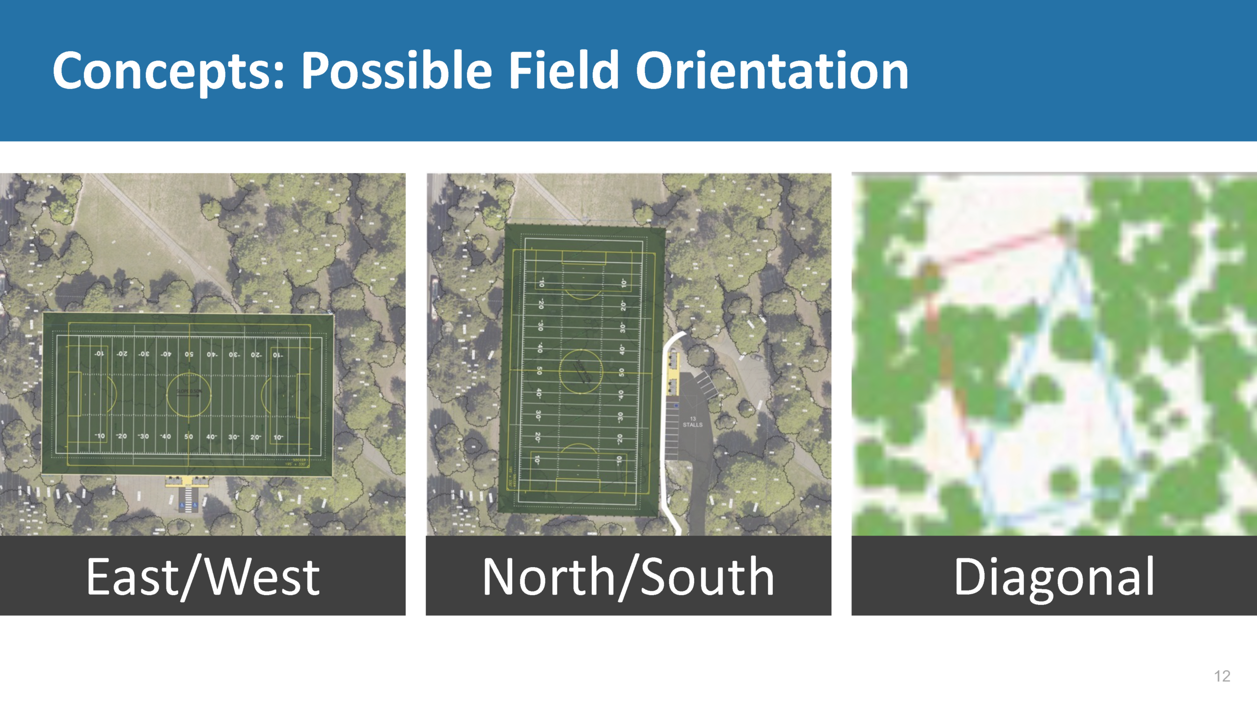 slide 12 titled: Concepts: Possible Field orientation with three images