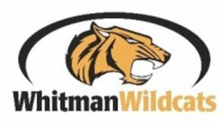 Wild Cat Logo
