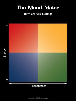 Ruler mood meter