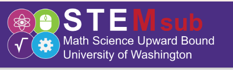 UW STEMsub logo