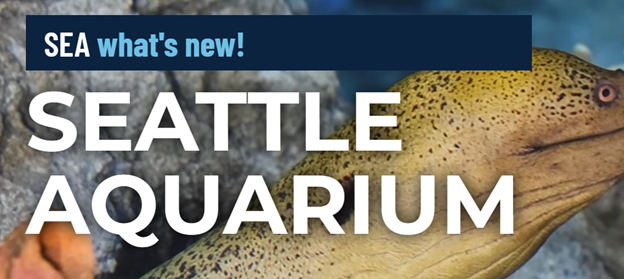 Seattle Aquarium 