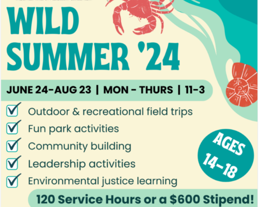 Wild Summer program June 24 -  August 23 to study environmental issues, $600 stipend