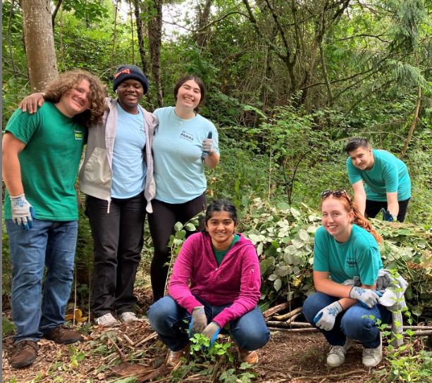 King County Youth Conversation Corps picture in woods