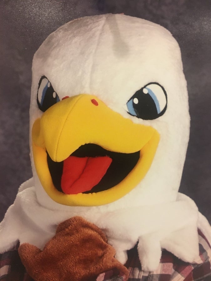 Avocado the Eagle, Adams mascot