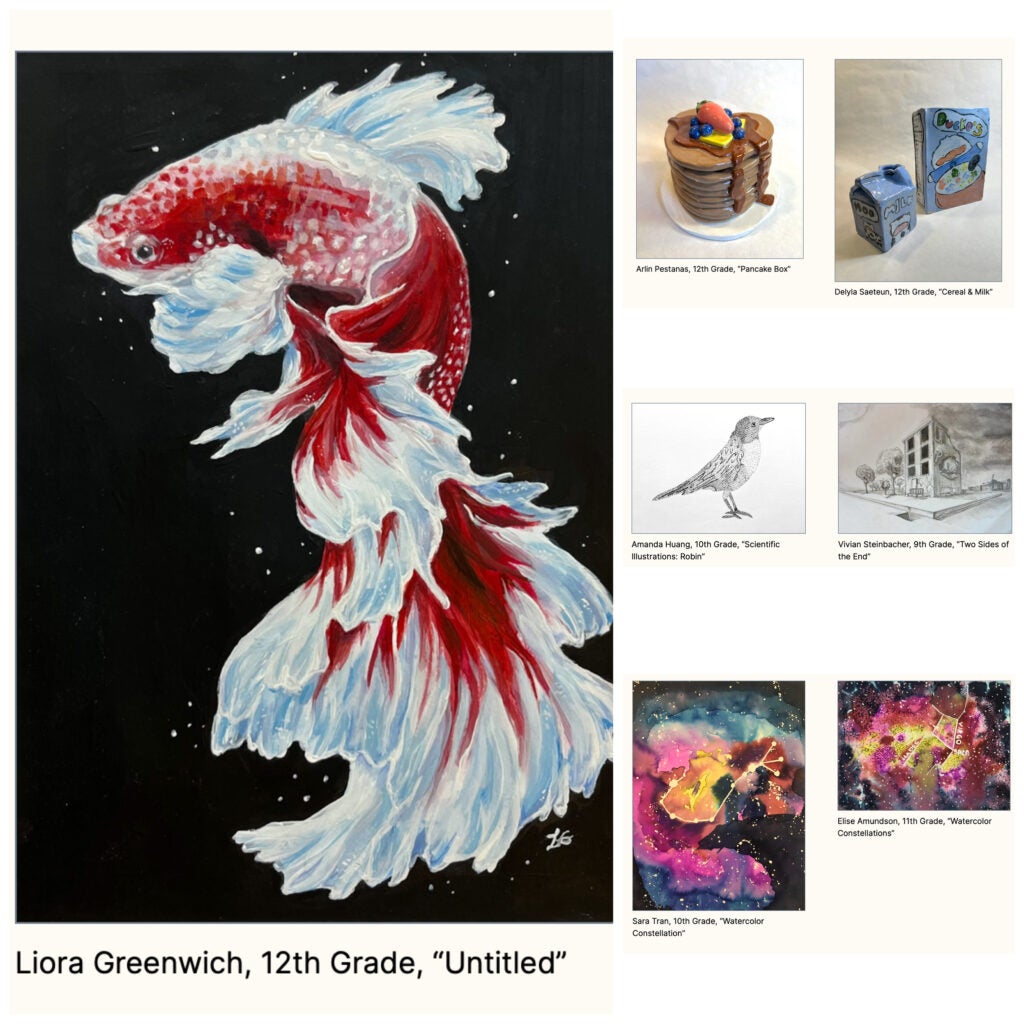 Collage of artwork on the district Naramore page. Fish, Ceramics, and mixed media.