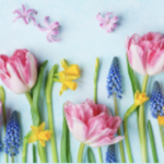 Multi colored flowers banner