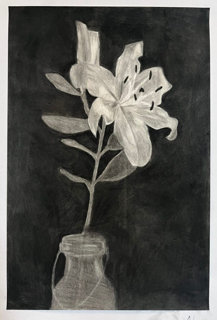 Flower in vase. Aileen Bernstein