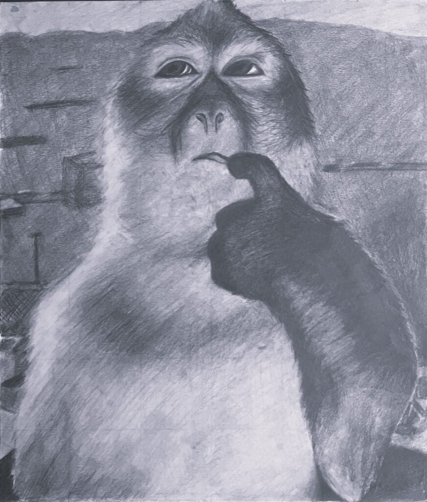 Thinking Monkey. Shanda