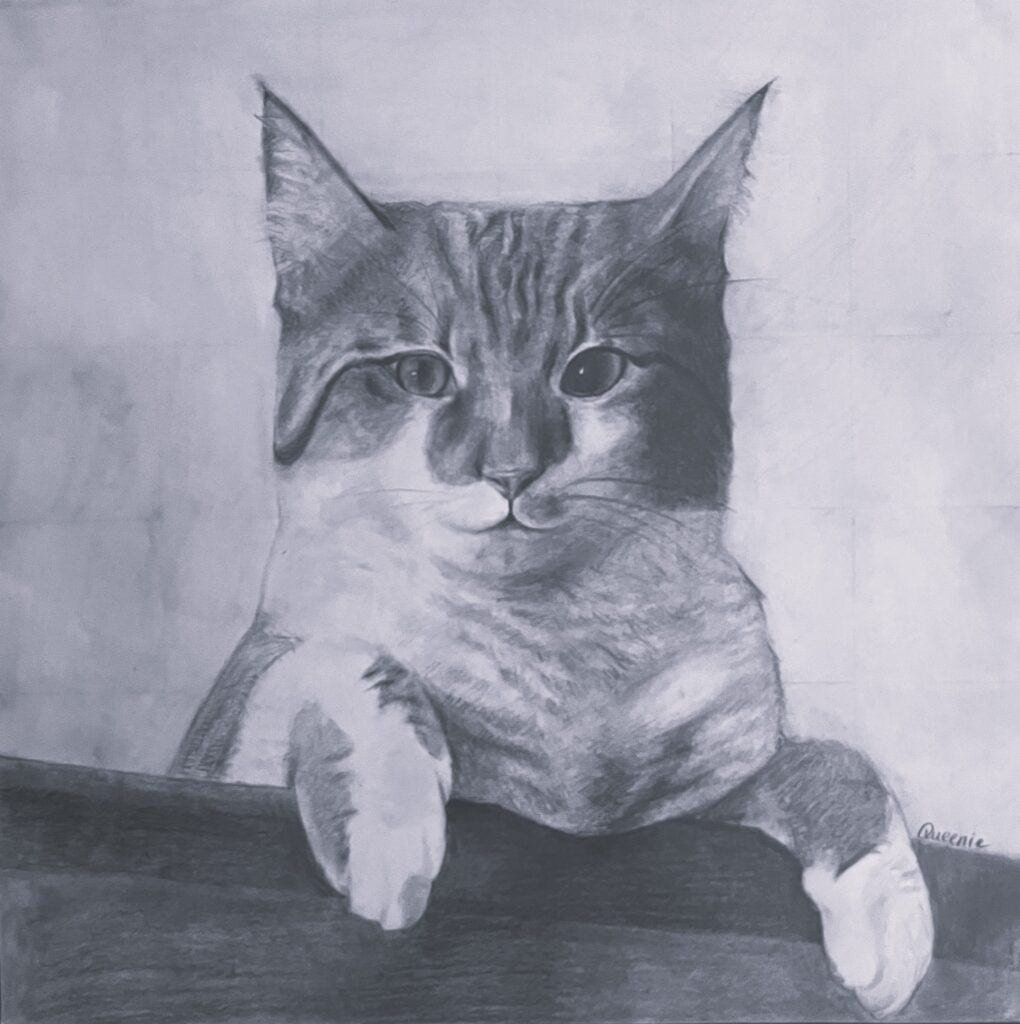 Cat drawing. Queenie