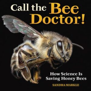 Call the Bee Doctor