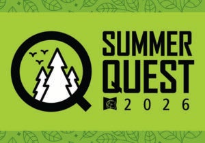 Summer Quest 2026 logo