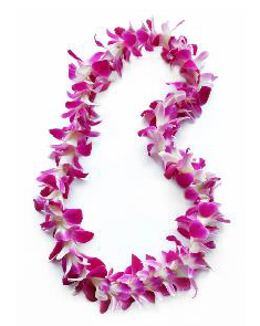 hawaiian flower lei