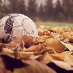 worn soccer ball in pile of brown leaves