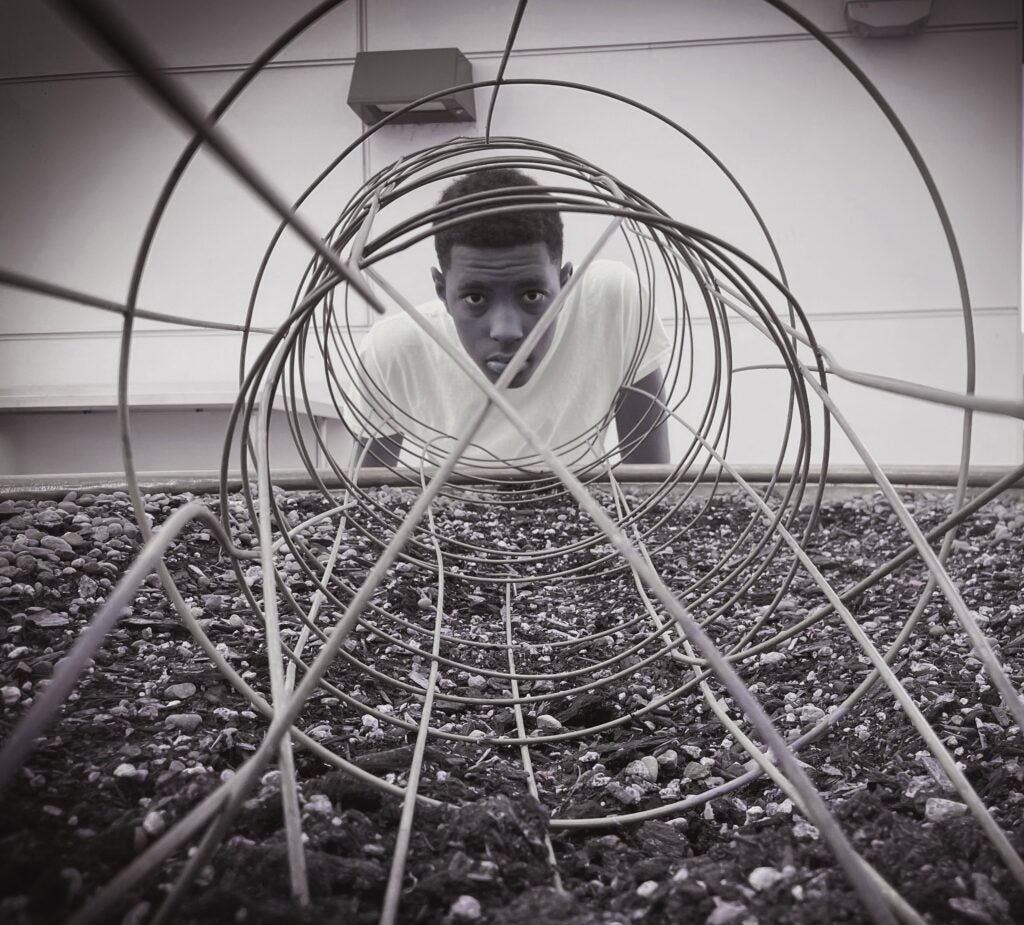 Student looking thru wire mess above dirt.