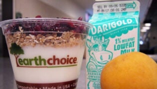 Yogurt, milk and an orange