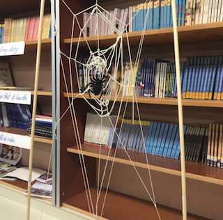 Spiderweb on a bookcase