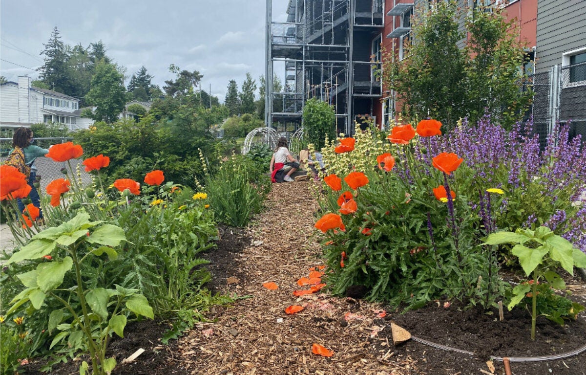 school garden with color orange flowers