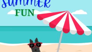 Scottie dog reading on the beach