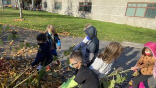 children pulling weeds